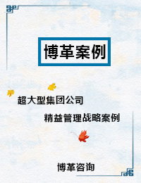 -超大型集團(tuán)公司精益管理戰(zhàn)略-博革咨詢(xún)案例